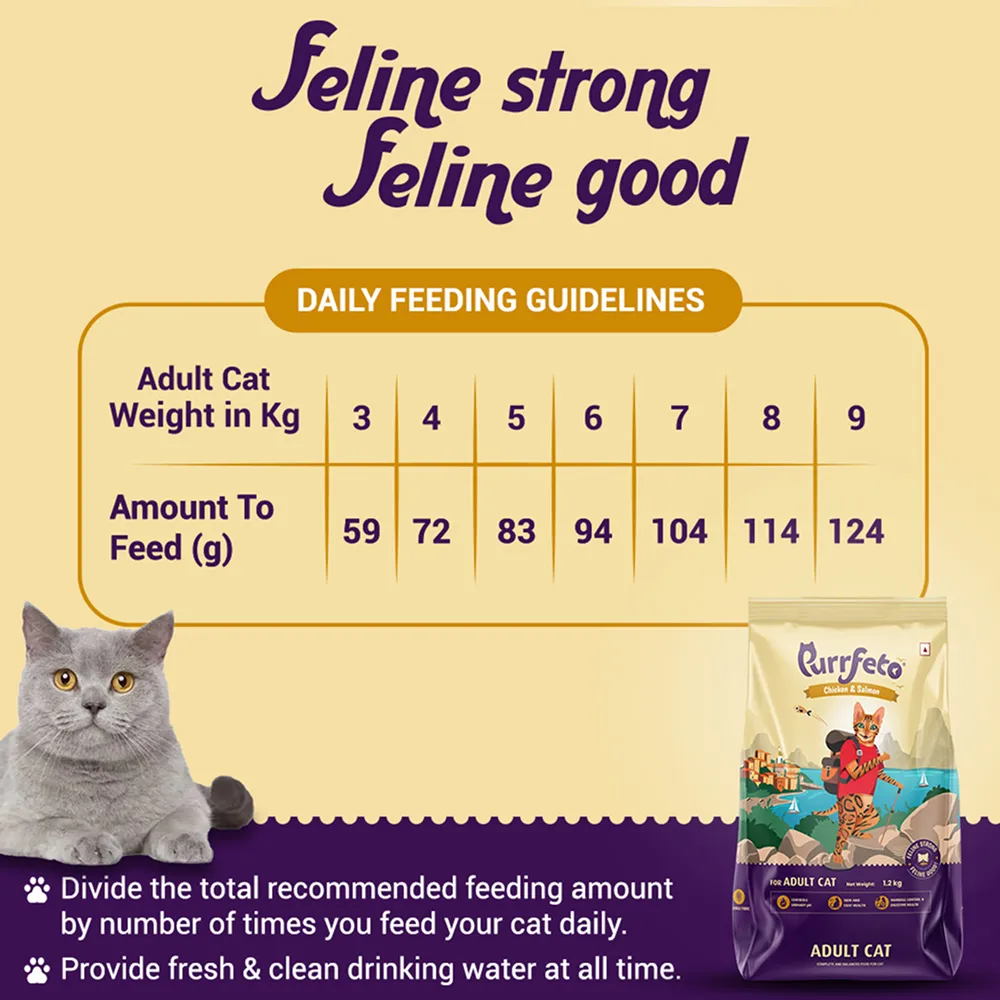 Purrfeto Chicken and Salmon Adult Cat Dry Food