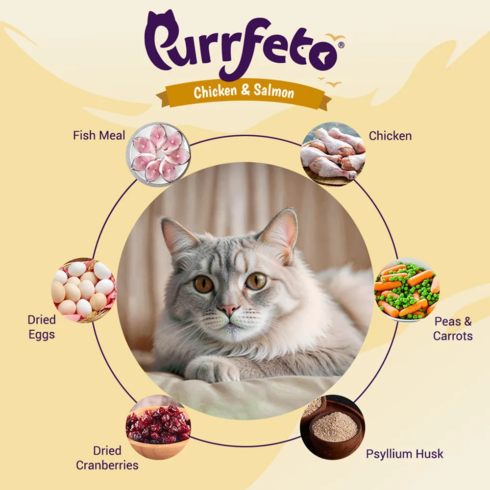 Purrfeto Chicken and Salmon Adult Cat Dry Food