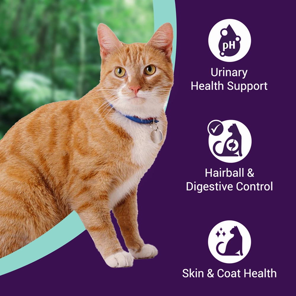 Purrfeto Chicken and Ocean Fish Cat Dry Food