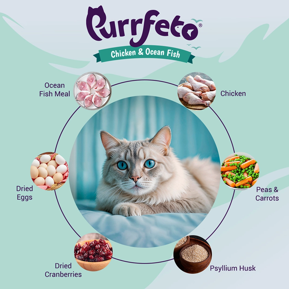 Purrfeto Chicken and Ocean Fish Cat Dry Food