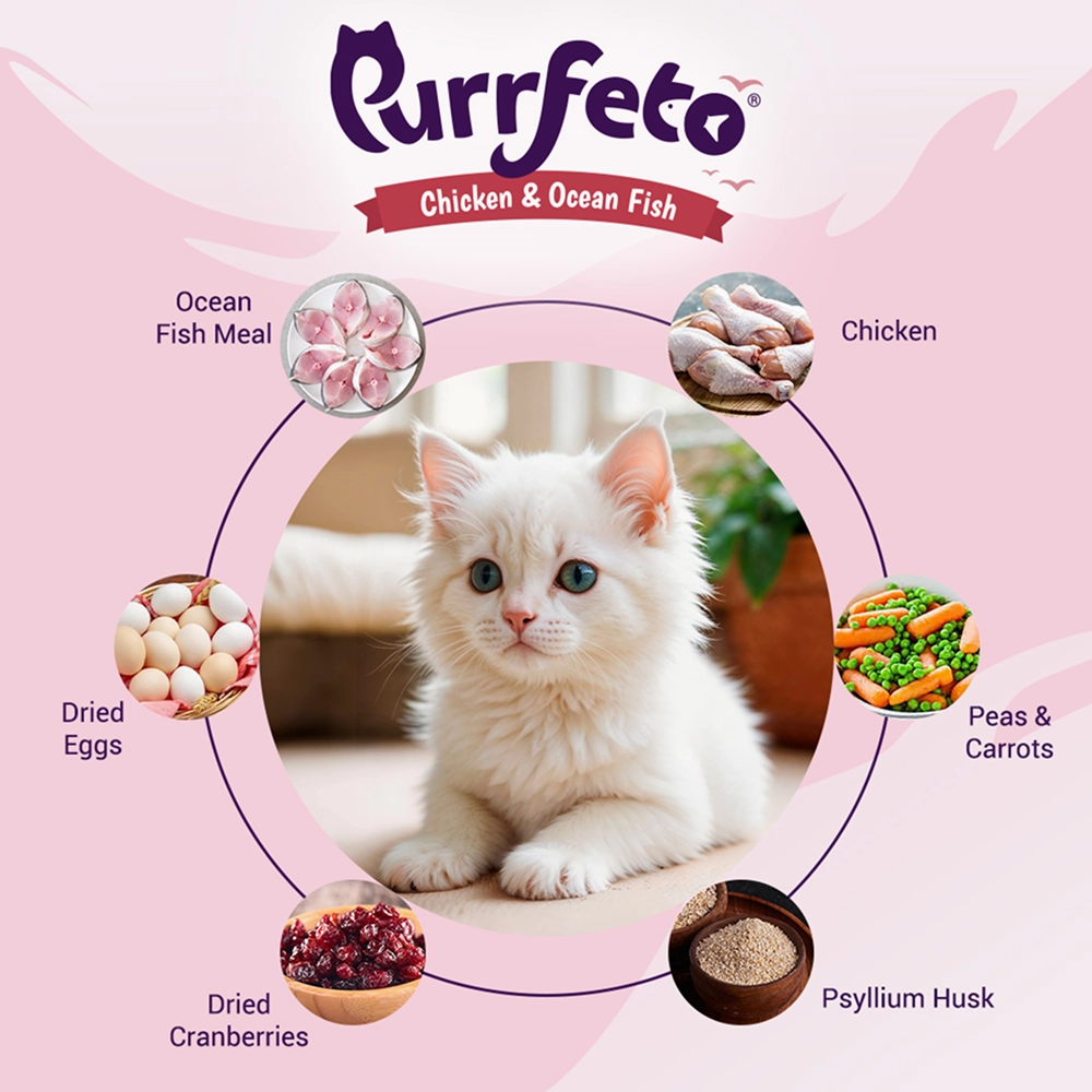 Purrfeto Chicken and Ocean Fish Kitten Cat Dry Food