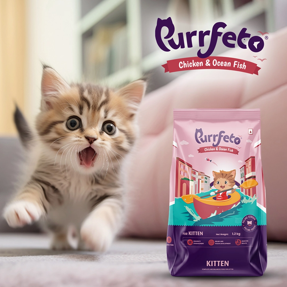 Purrfeto Chicken and Ocean Fish Kitten Cat Dry Food
