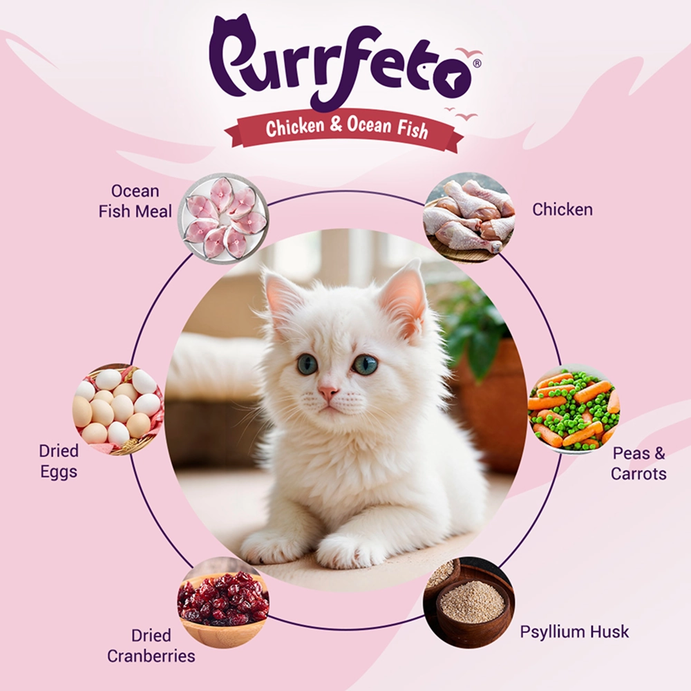 Purrfeto Chicken and Ocean Fish Kitten Cat Dry Food