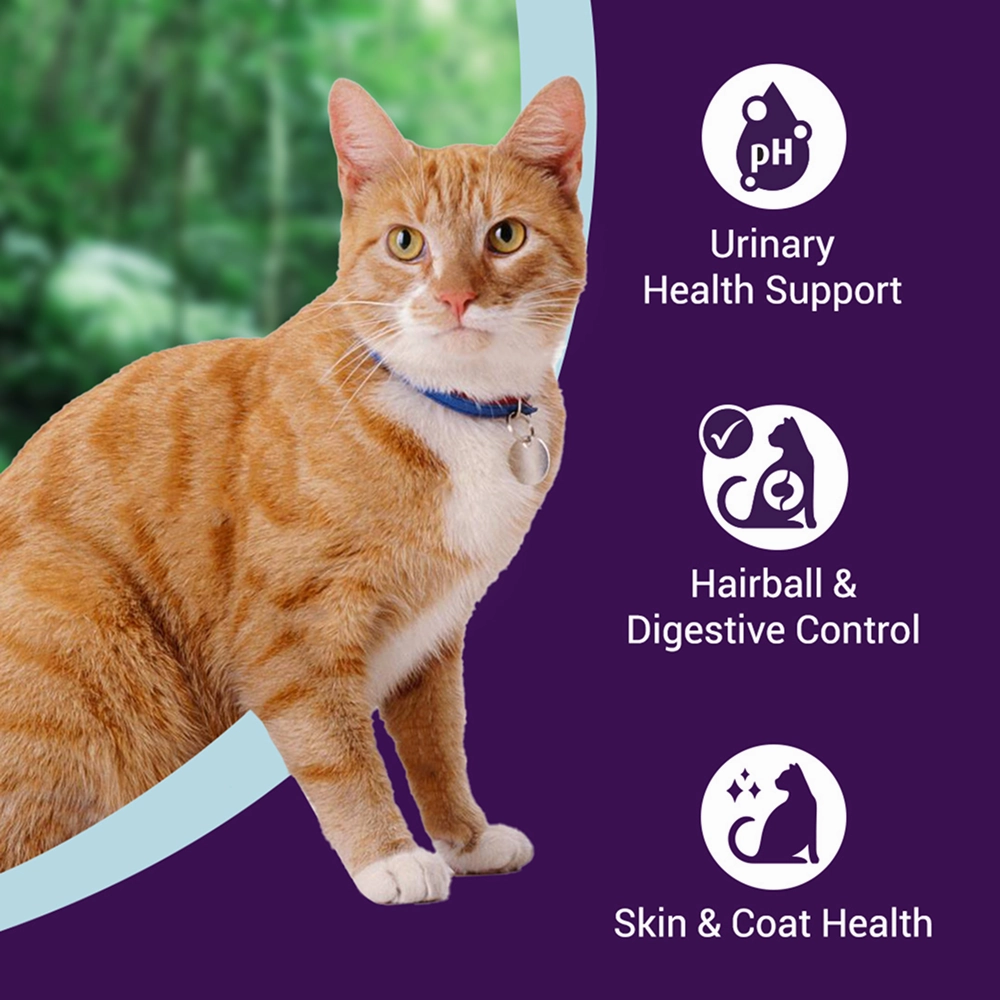 Purrfeto Chicken and Rice Adult Cat Dry Food