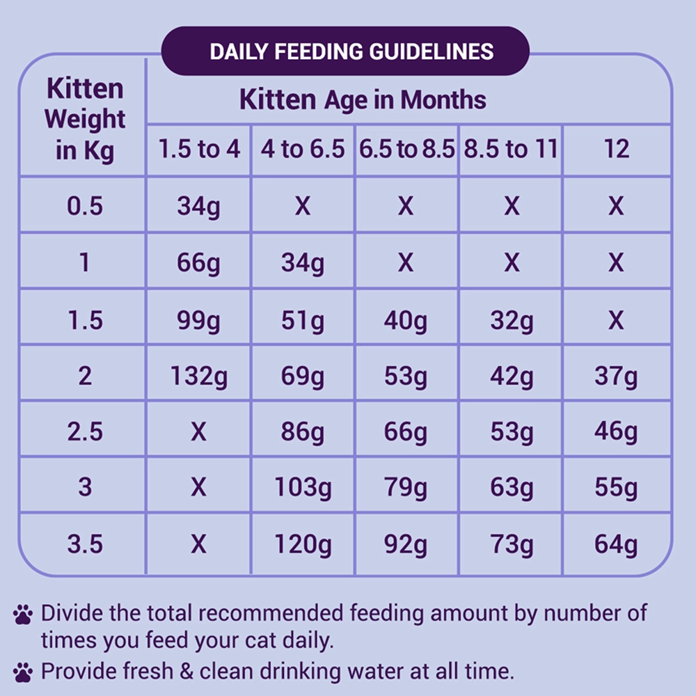 Purrfeto Chicken and Rice Kitten Cat Dry Food