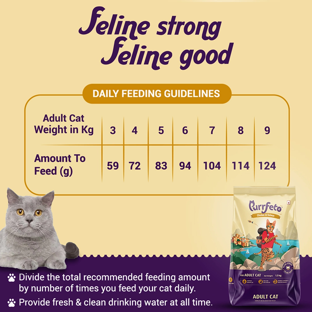 Purrfeto Chicken and Salmon Adult Cat Dry Food