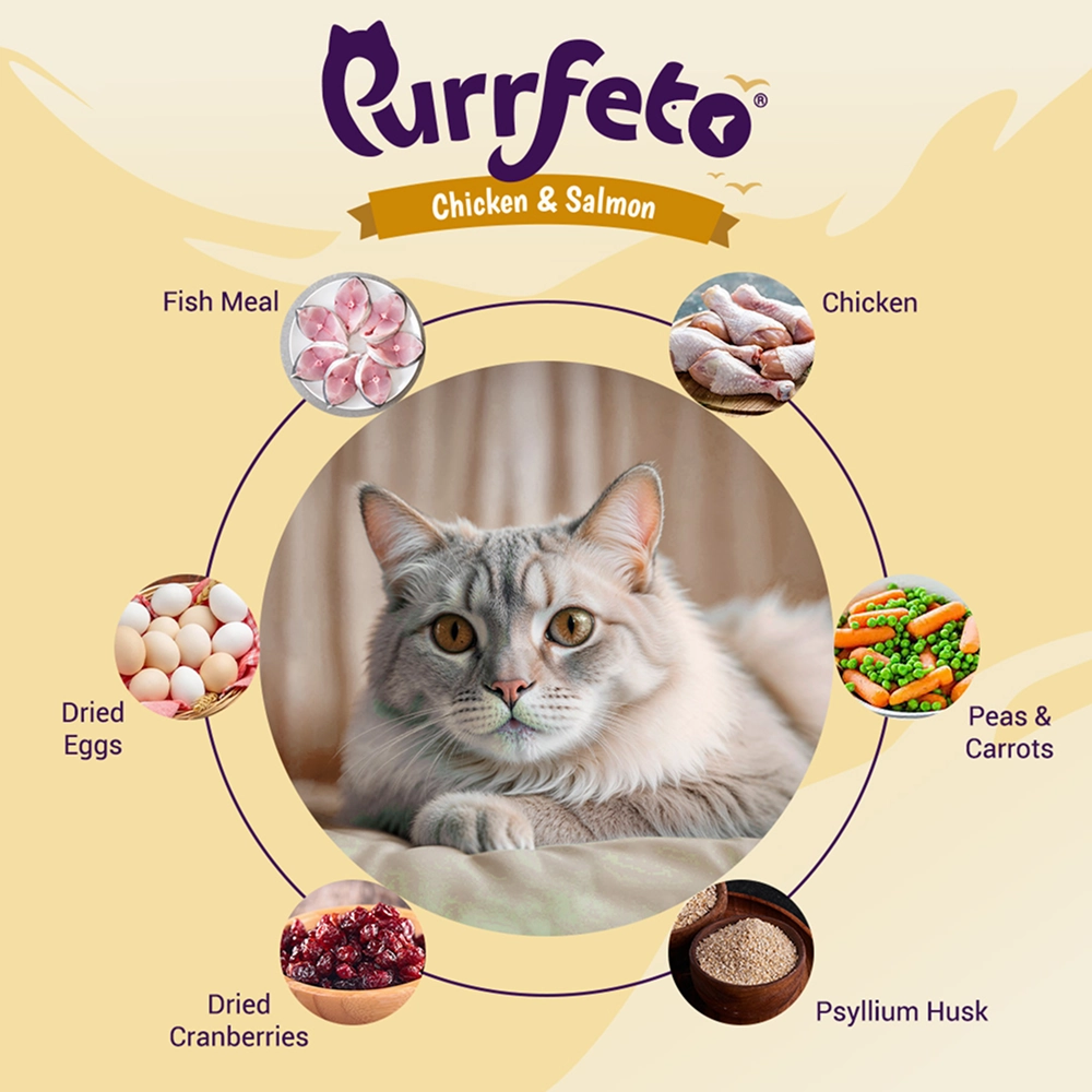 Purrfeto Chicken and Salmon Adult Cat Dry Food