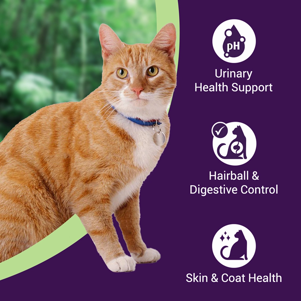 Purrfeto Chicken and Sardine Adult Cat Dry Food