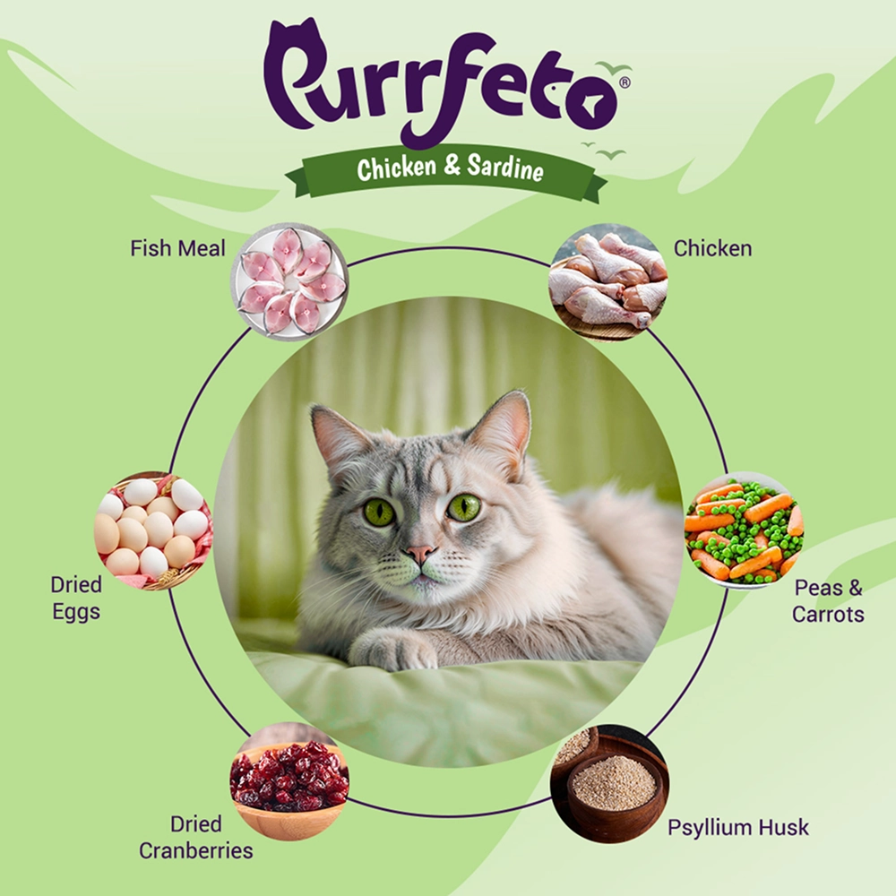 Purrfeto Chicken and Sardine Adult Cat Dry Food