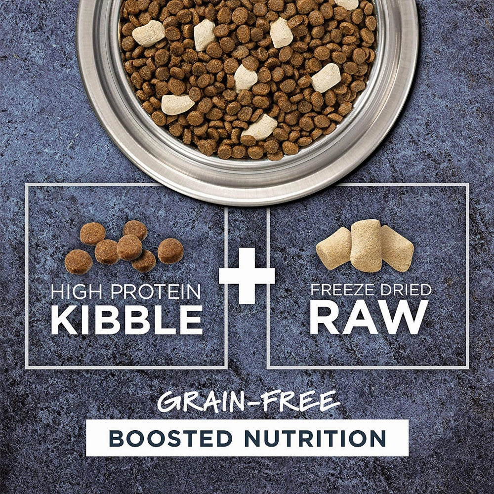 Raw Boost Grain Free Kibble Cat Dry Food - Salmon
