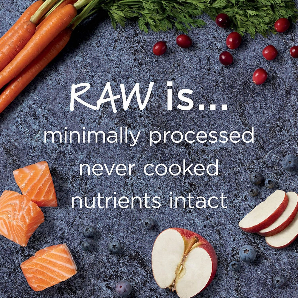 Raw Boost Grain Free Kibble Cat Dry Food - Salmon