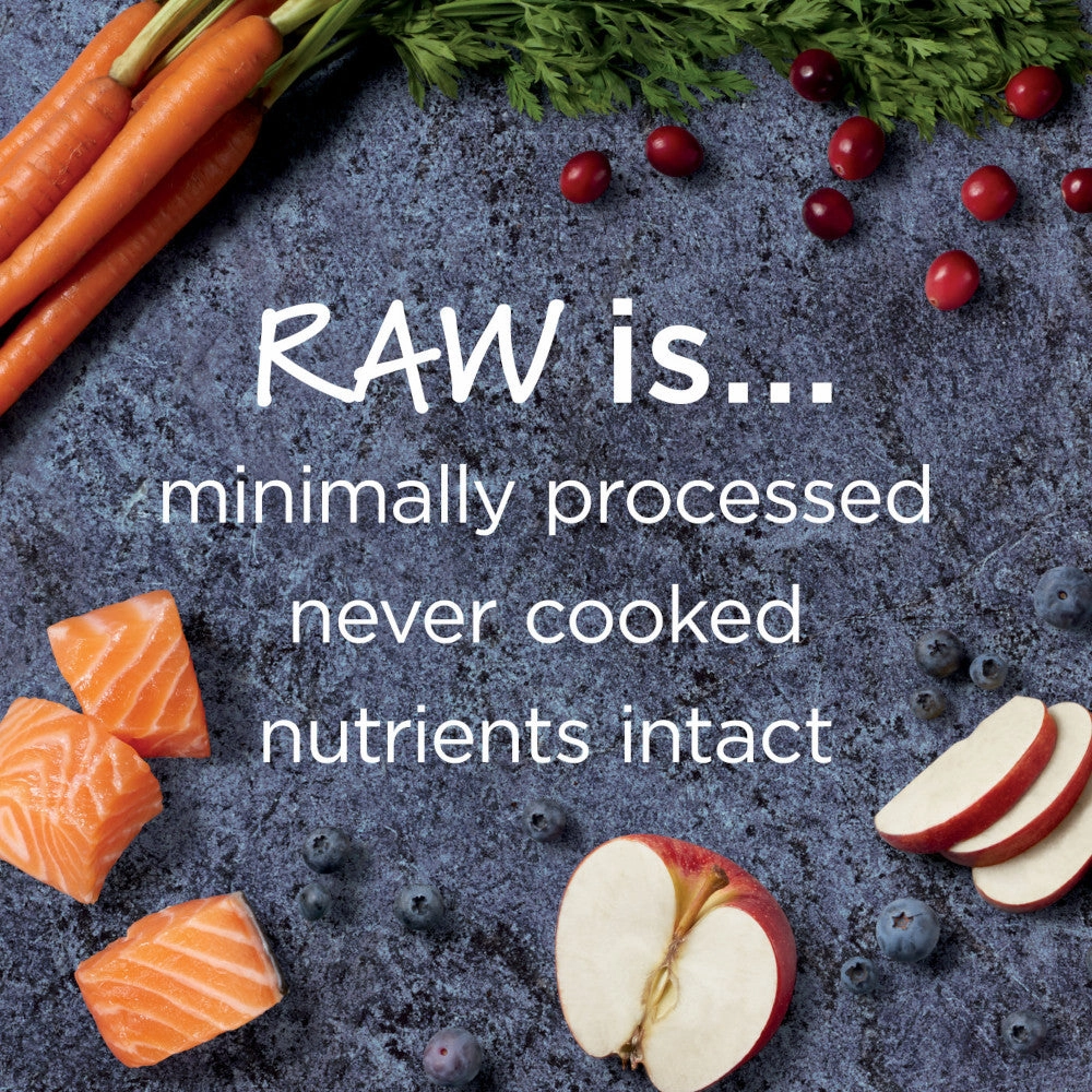 Raw Boost Grain-Free Recipe Kibble   Raw Dog Dry Food- Salmon