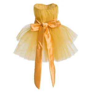 Ready For The Party Dog Dress Yellow