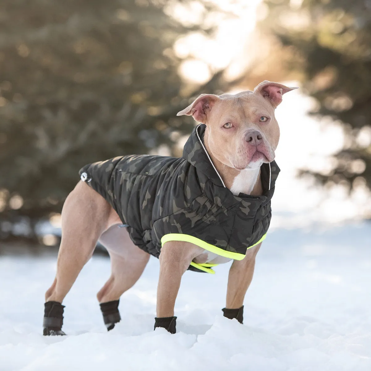 Recycled Parka Dog Jacket Camouflage