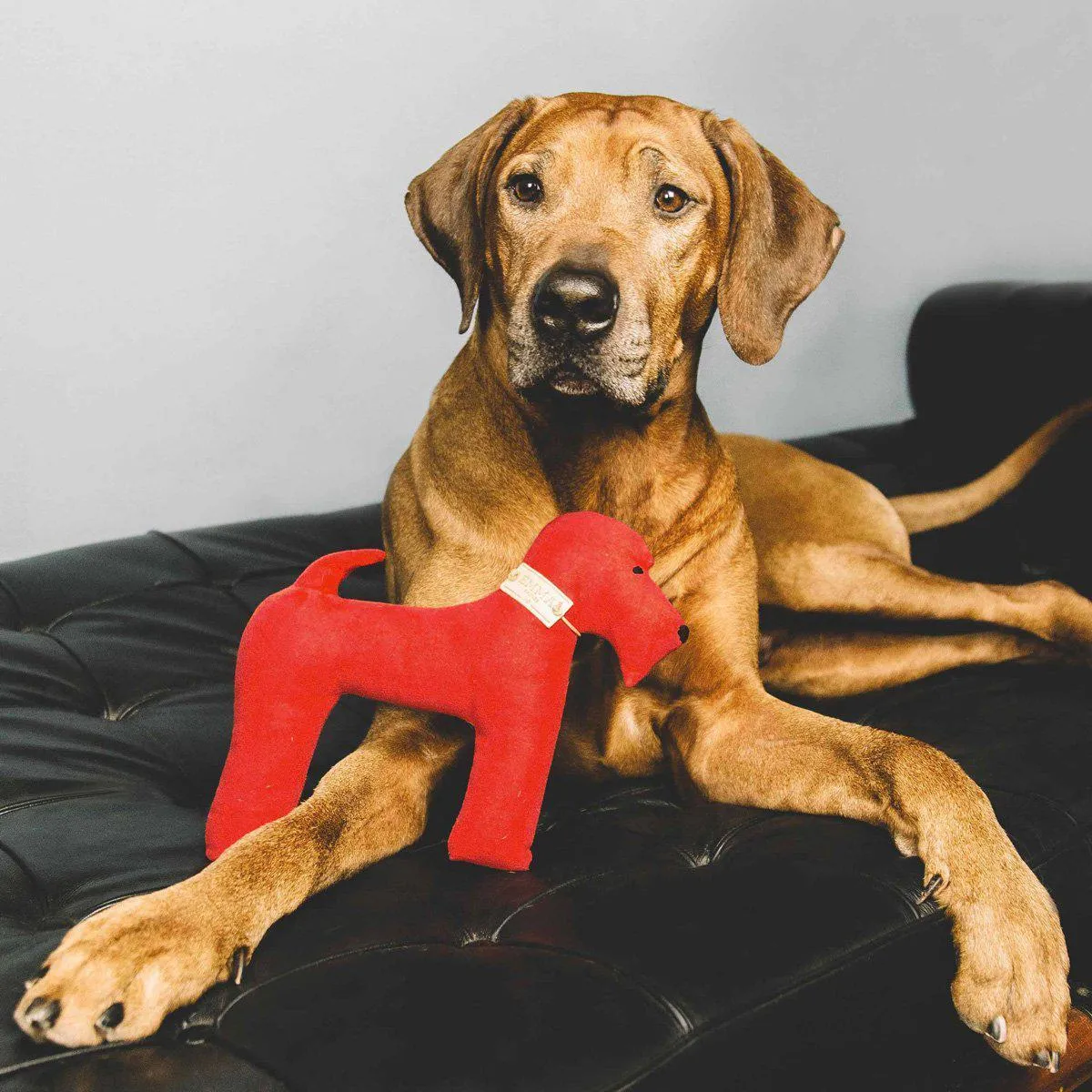 Red And Faustina Dog Toy