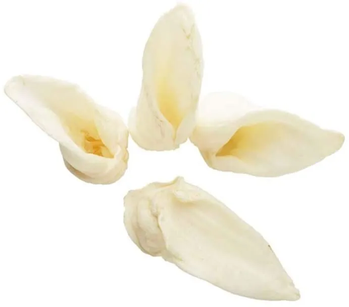 Redbarn Lamb Ear