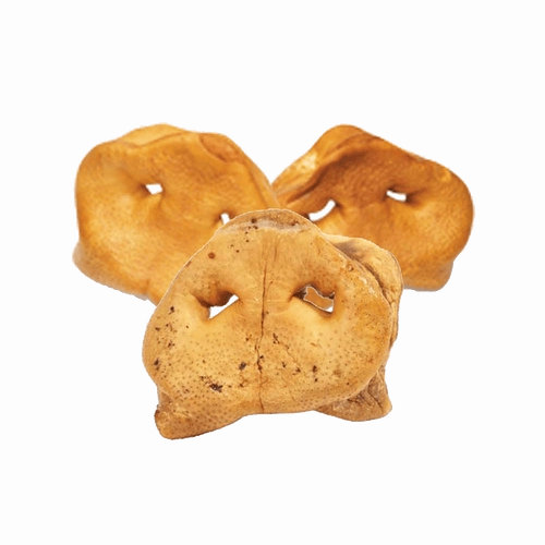 RedBarn Pig Snout Dog Chew