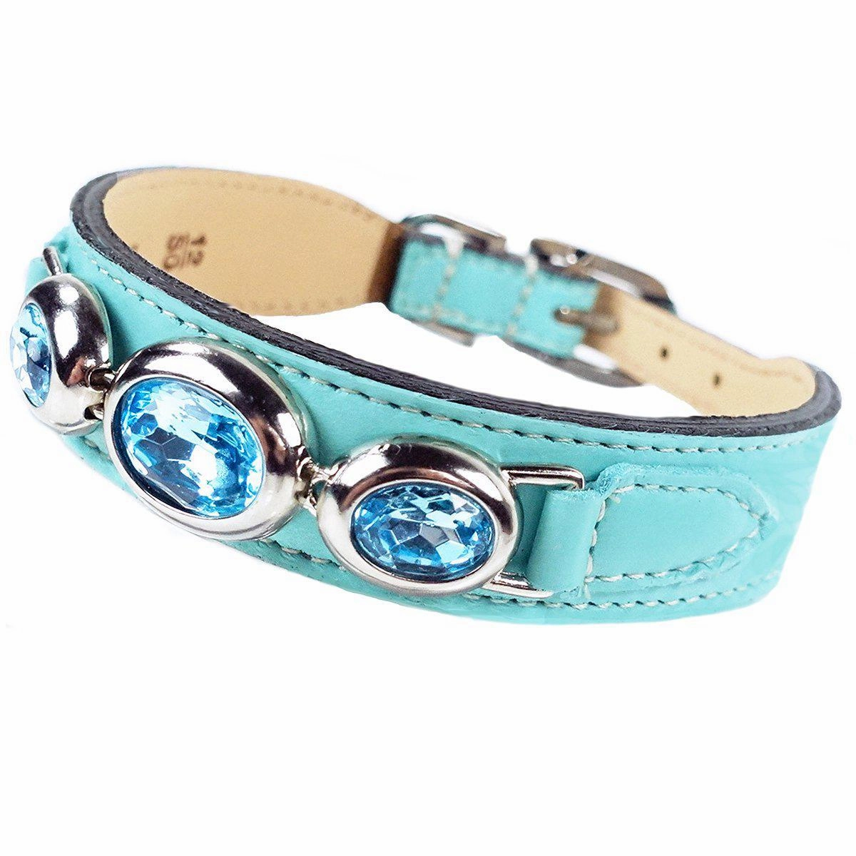 Regency Collection Dog Collar Turquoise