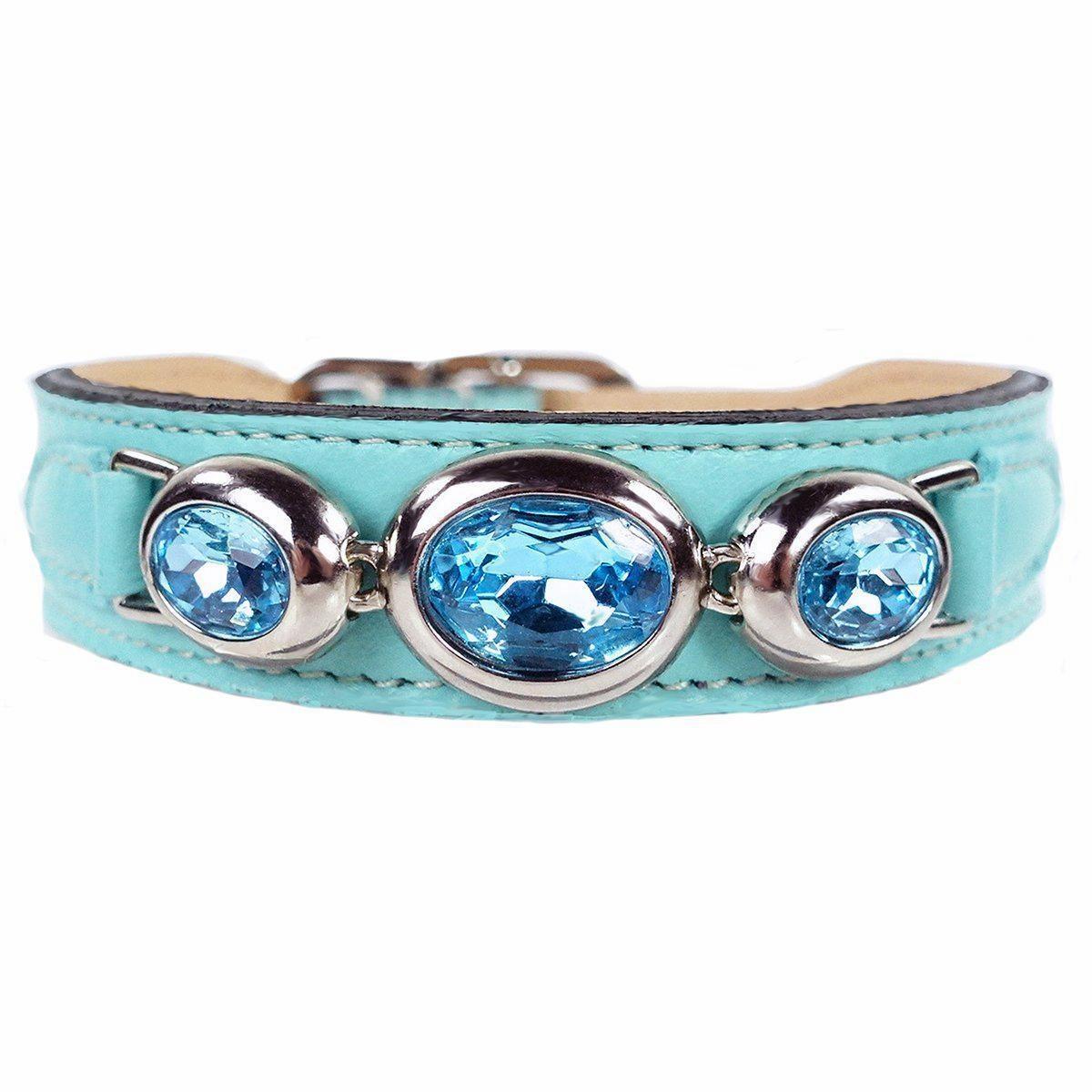Regency Collection Dog Collar Turquoise