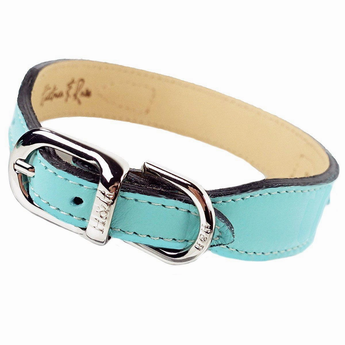 Regency Collection Dog Collar Turquoise