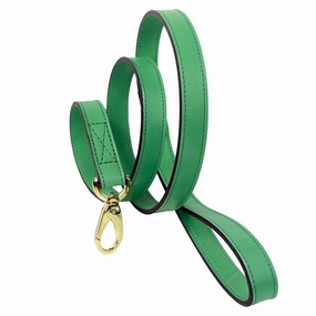 Regency Collection Dog Leash Kelly Green