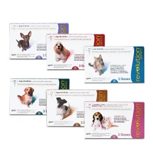 Revolution Flea and Worm Prevention