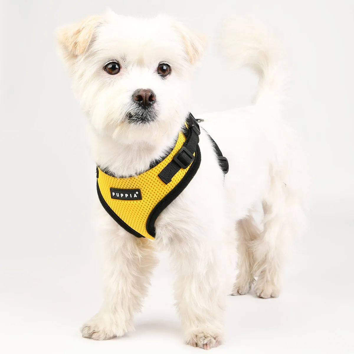 Ritefit Dog Harness