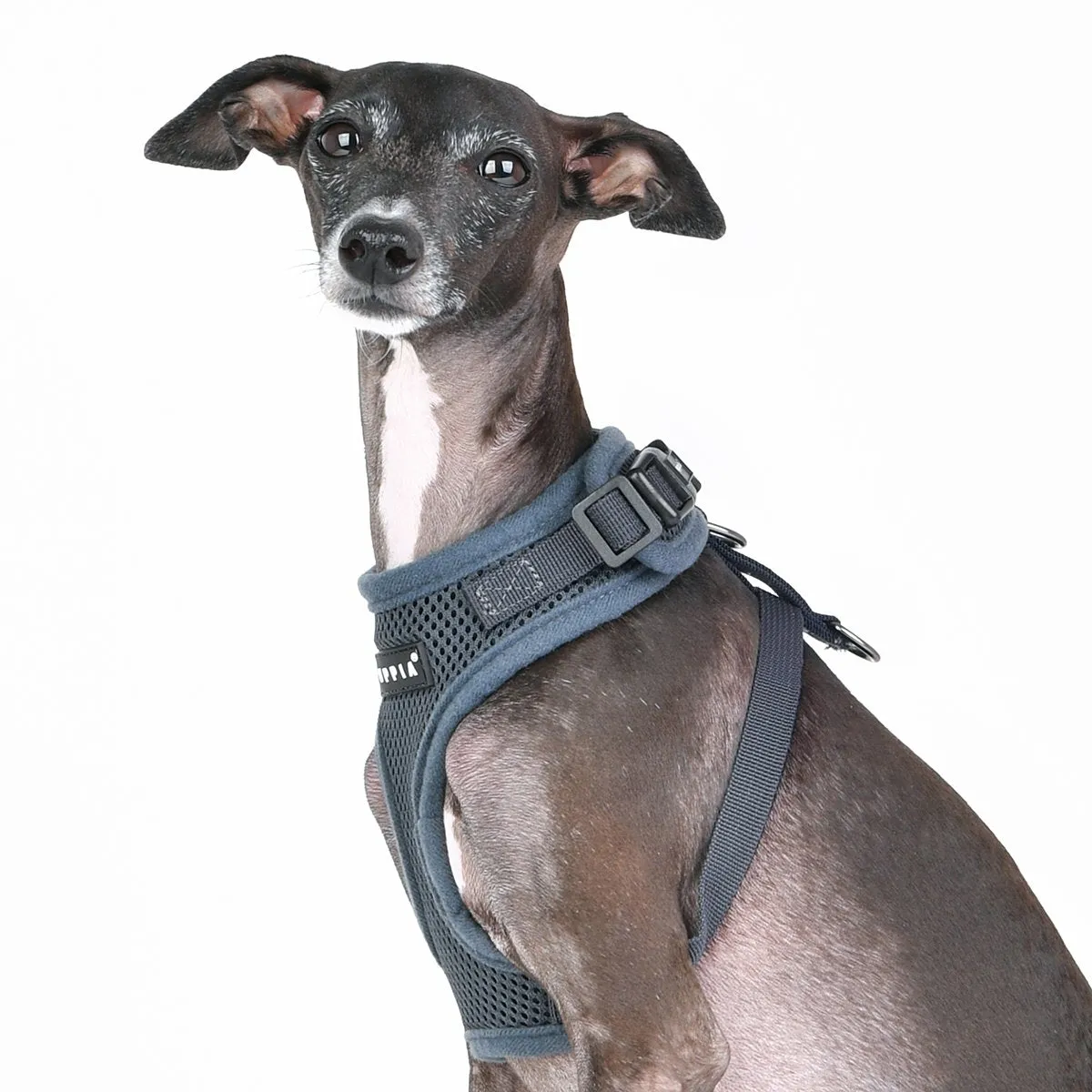 Ritefit Dog Harness