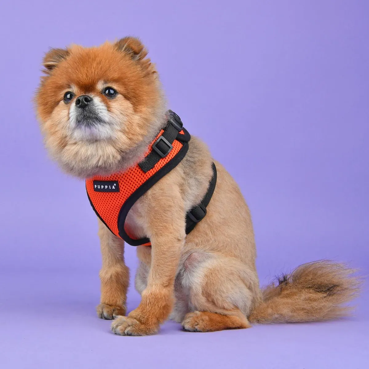 Ritefit Dog Harness