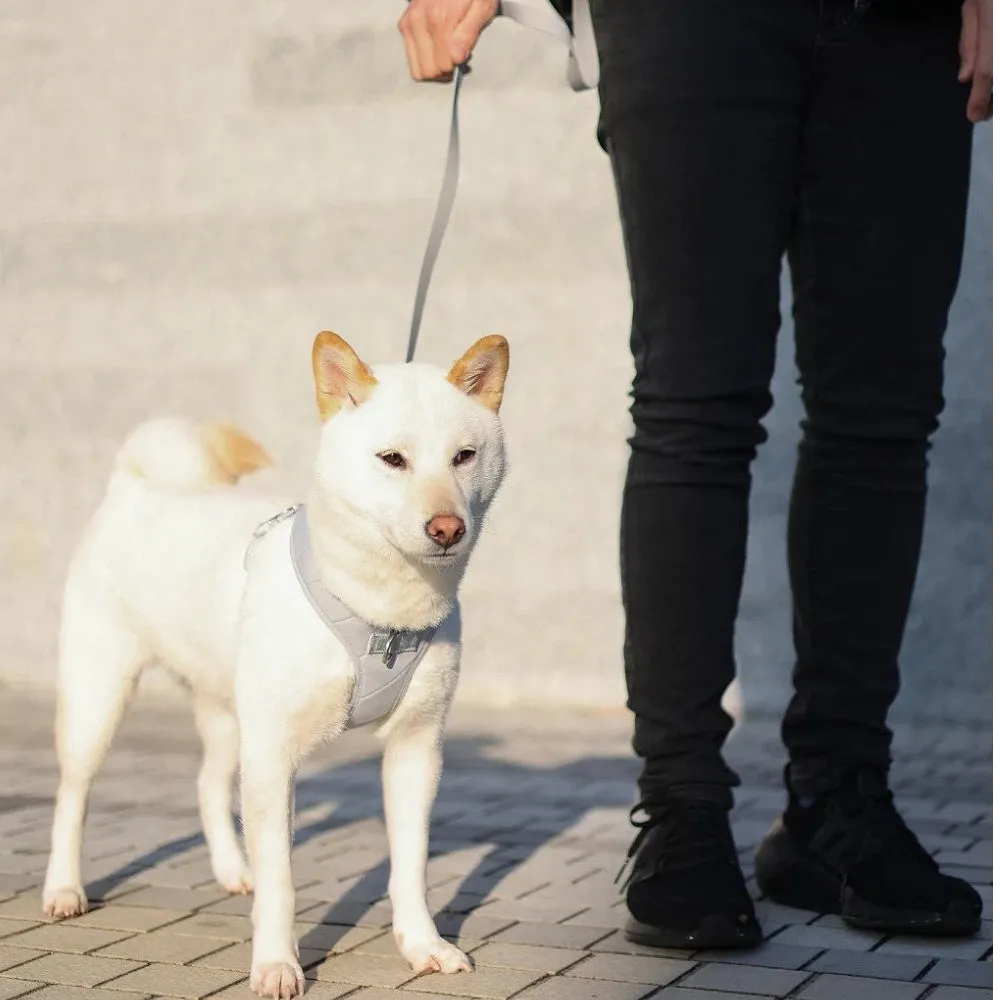 Roam Multi-Way Leash LITE