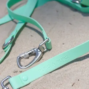 Roam Multi-Way Leash LITE