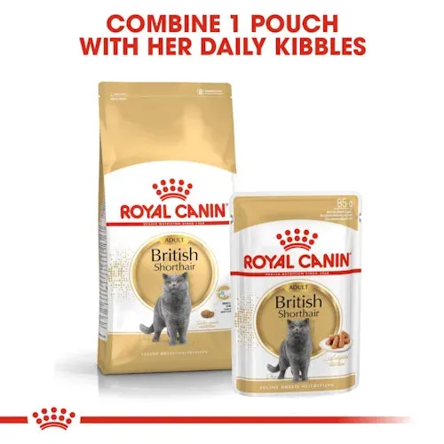 Royal Canin - Adult British Shorthair Dry Food