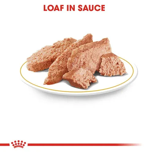 Royal Canin - Adult Chihuahua Loaf Wet Food 85g