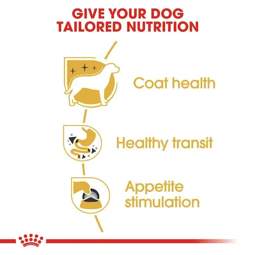 Royal Canin - Adult Chihuahua Loaf Wet Food 85g