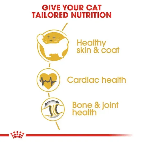 Royal Canin - Adult Ragdoll Dry Food