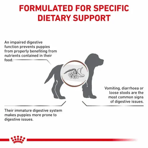 Royal Canin - Canine Gastro Intestinal Puppy 1kg
