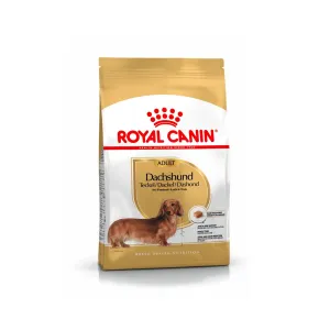 Royal Canin - Dachshund Adult Dry Food