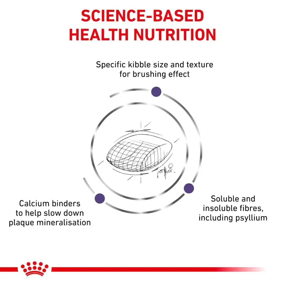 Royal Canin - Feline Dental Dry Food