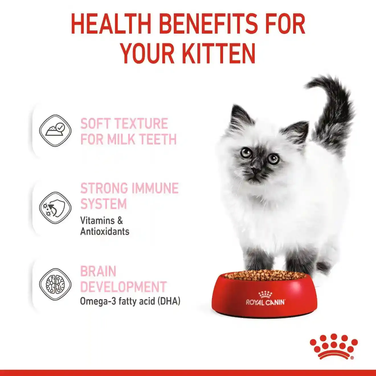 Royal Canin - Kitten Wet Food In Gravy 85g