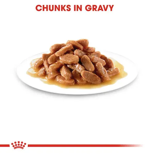 Royal Canin - Kitten Wet Food In Gravy 85g