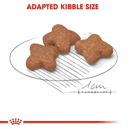 Royal Canin - Mini Adult 8  Dogs Dry Food