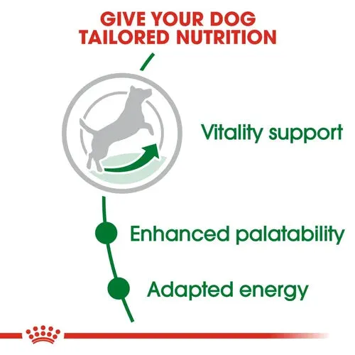 Royal Canin - Mini Adult 8  Dogs Dry Food