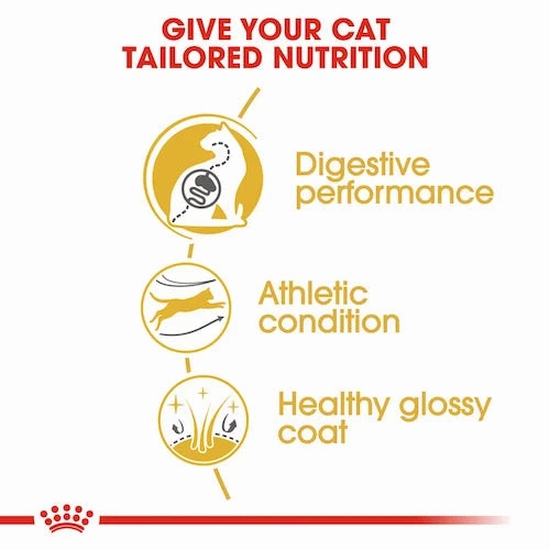Royal Canin - Adult Bengal Dry Food