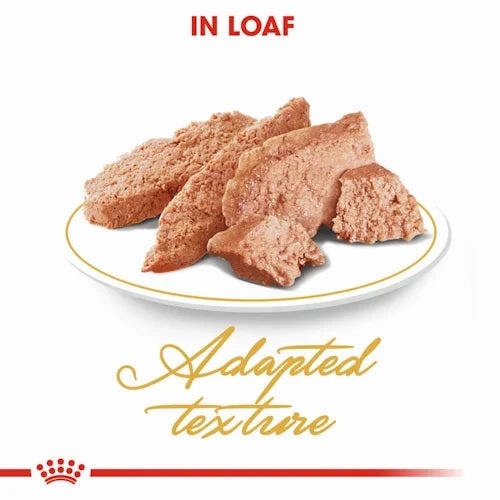 Royal Canin - Adult Persian Loaf Wet Food 85g