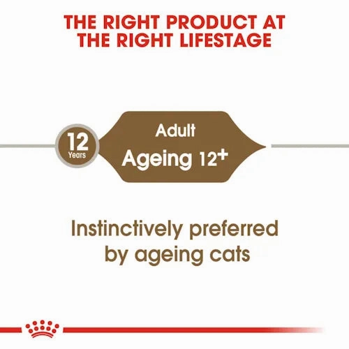 Royal Canin - Ageing 12  Cat Wet Food in Jelly 85g