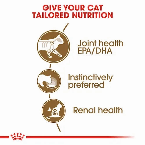 Royal Canin - Ageing 12  Cat Wet Food in Jelly 85g