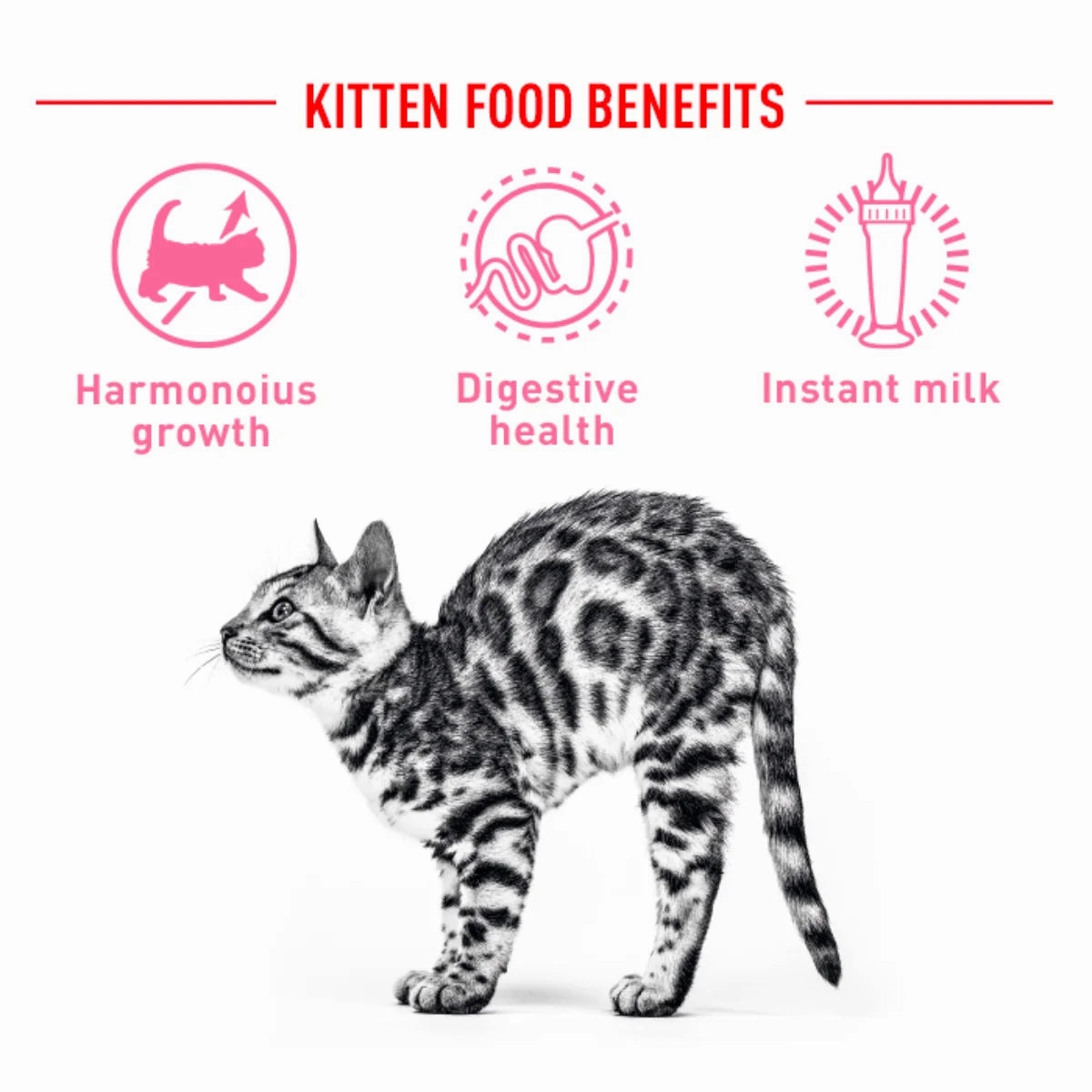 Royal Canin - Babycat Milk