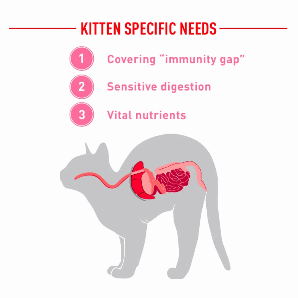 Royal Canin - Babycat Milk