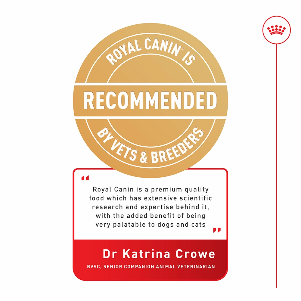 Royal Canin - Bulldog Breed Adult Dog Dry Food (12kg)