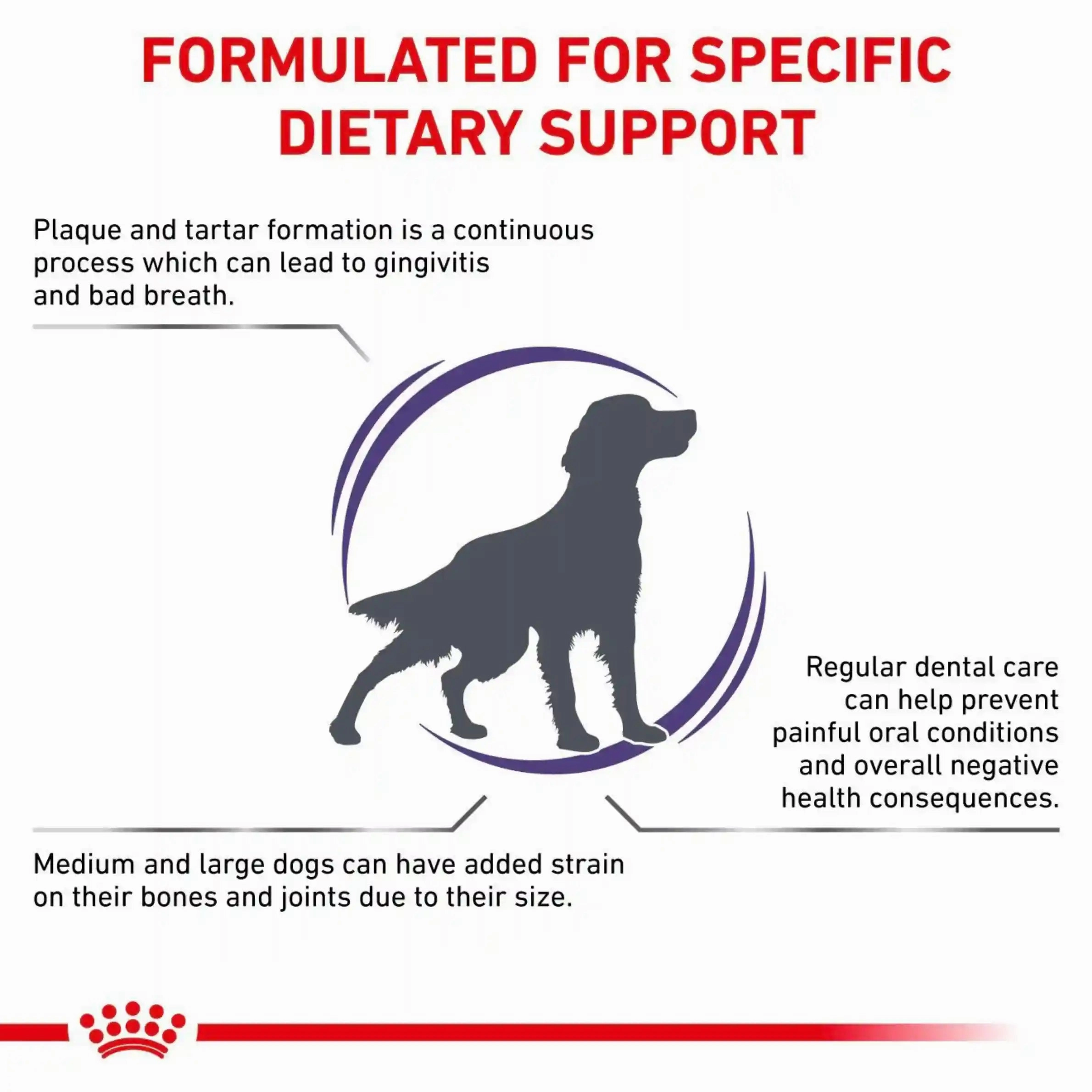 Royal Canin - Canine Dental 6kg